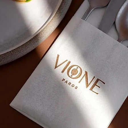 فندق Vione