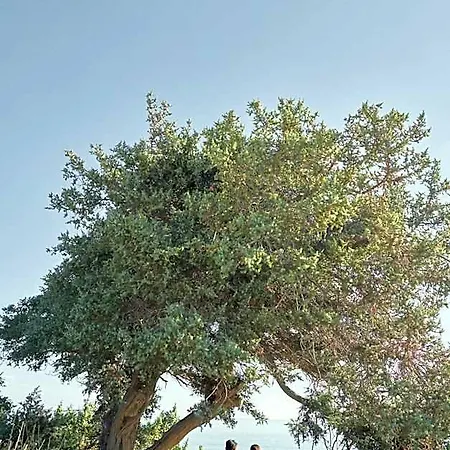 Vione فندق 5*